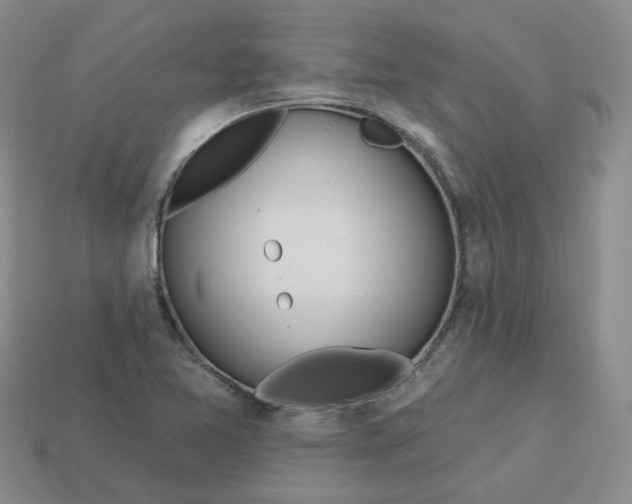 X0000113581365200910161531