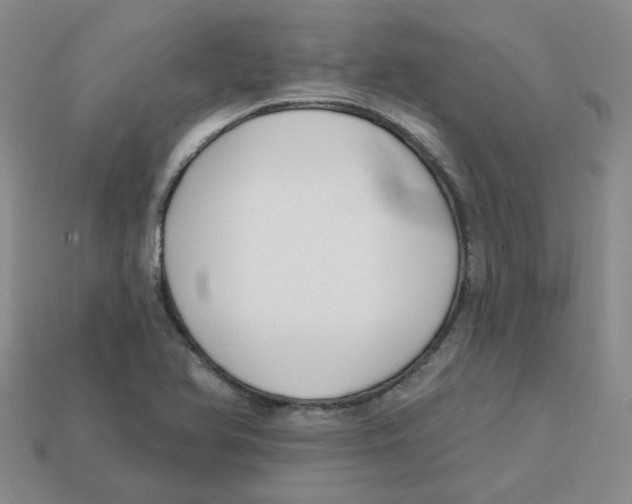 X0000113581366200910161531