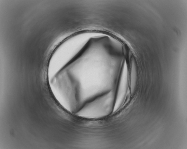 X0000113581367200910161531