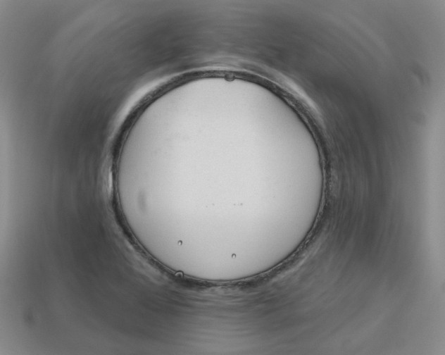 X0000113581368200910161531