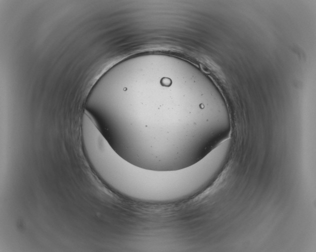 X0000113581369200910161531