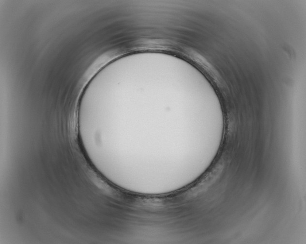 X0000113581370200910161531