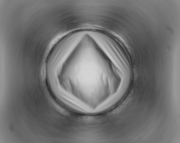 X0000113581371200910161531