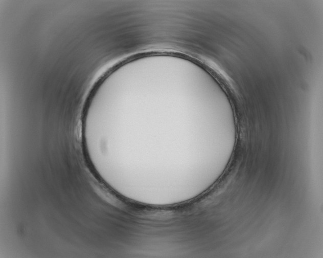 X0000113581372200910161531