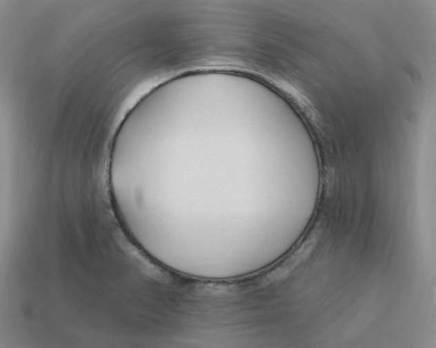 X0000113581374200910161531