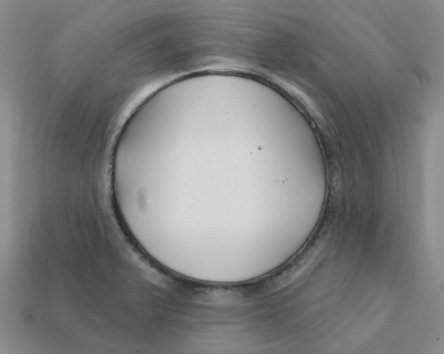 X0000113581375200910161531