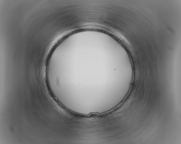 X0000113581376200910161531