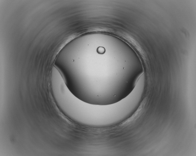 X0000113581377200910161531