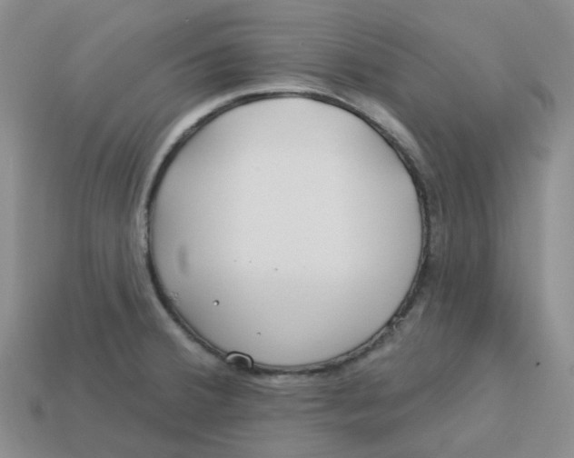 X0000113581380200910161531