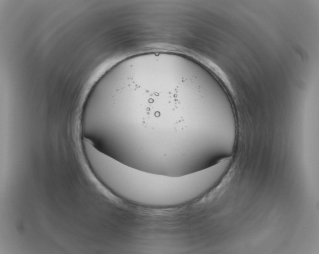 X0000113581381200910161531