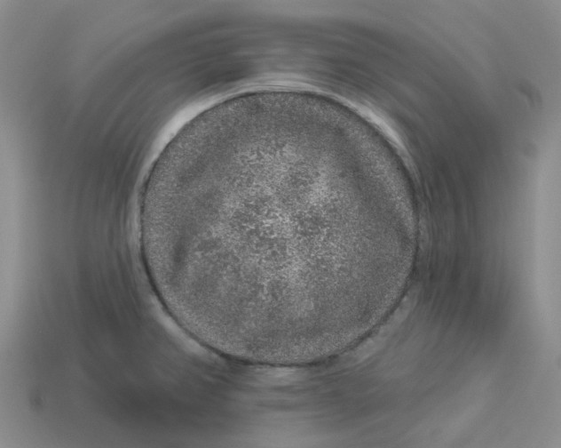 X0000113581382200910161531