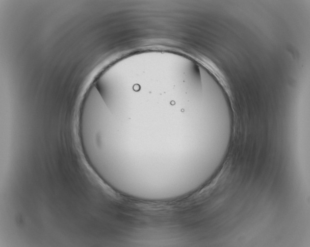 X0000113581384200910161531