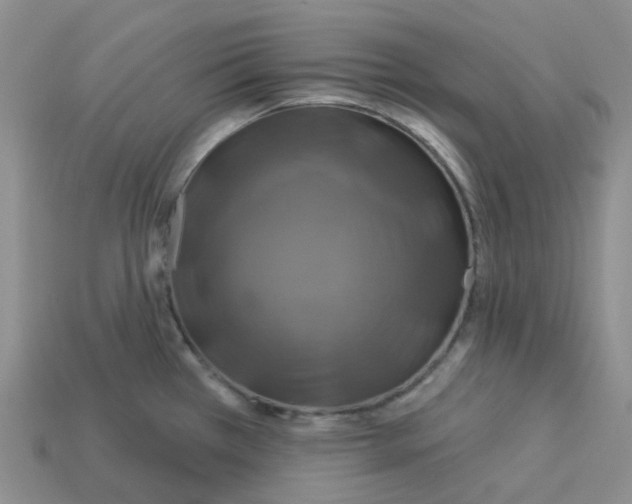 X0000113581385200910161531