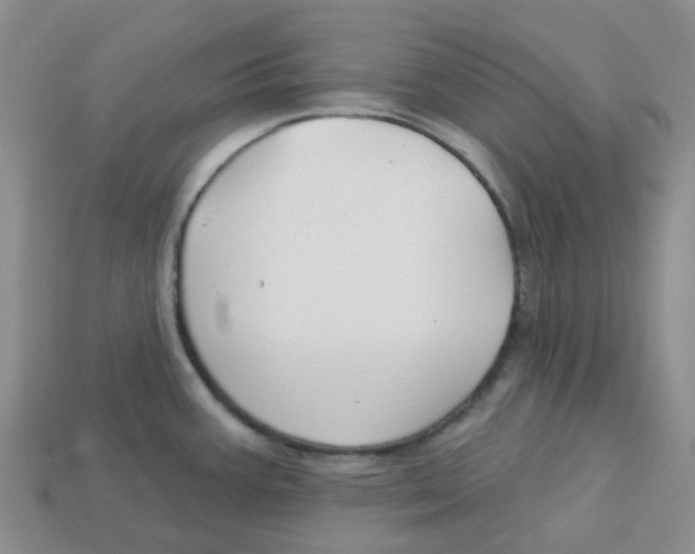 X0000113581387200910161531