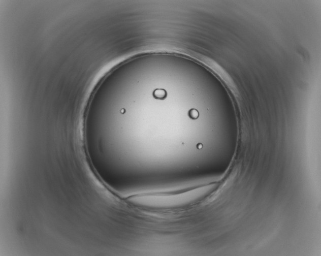 X0000113581388200910161531