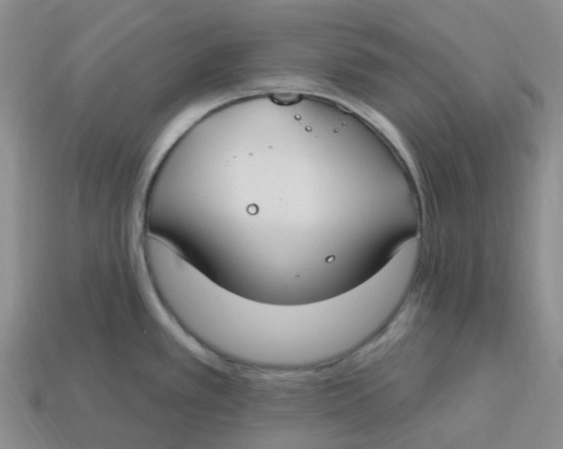 X0000113581389200910161531