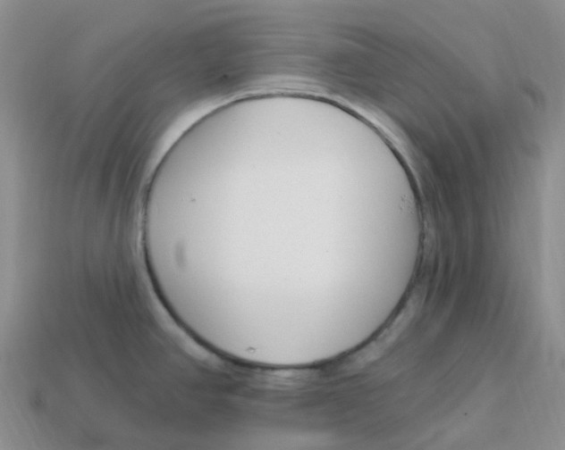 X0000113581390200910161531