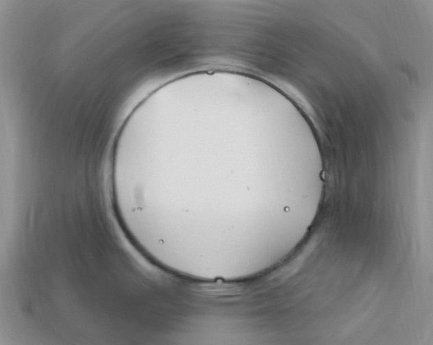 X0000113581391200910161531