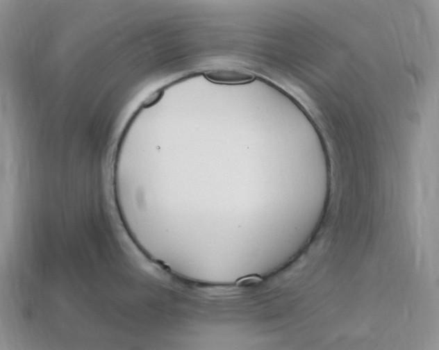 X0000113581392200910161531