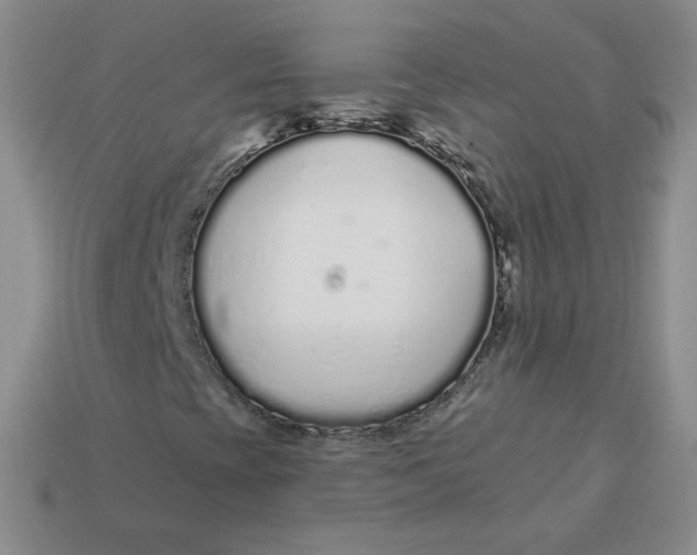 X0000113581393200910161530