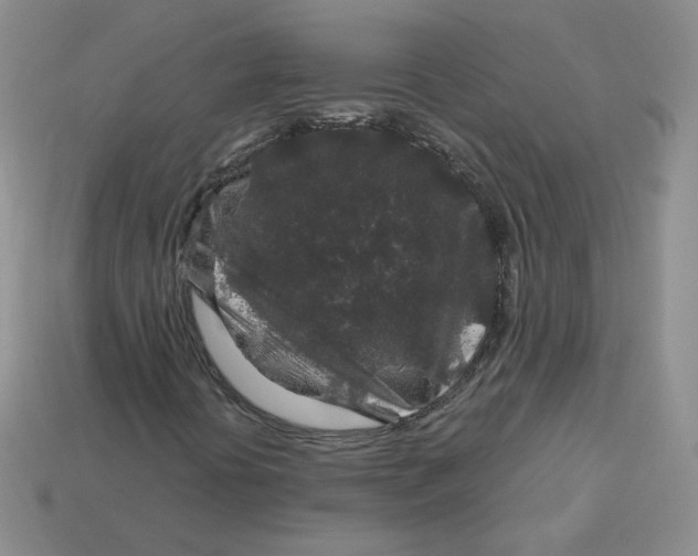 X0000113581394200910161530