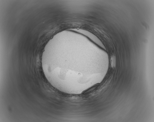 X0000113581395200910161530