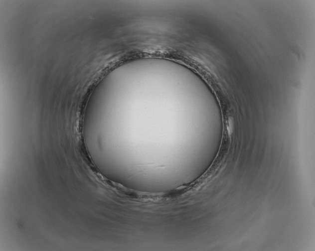 X0000113581396200910161530