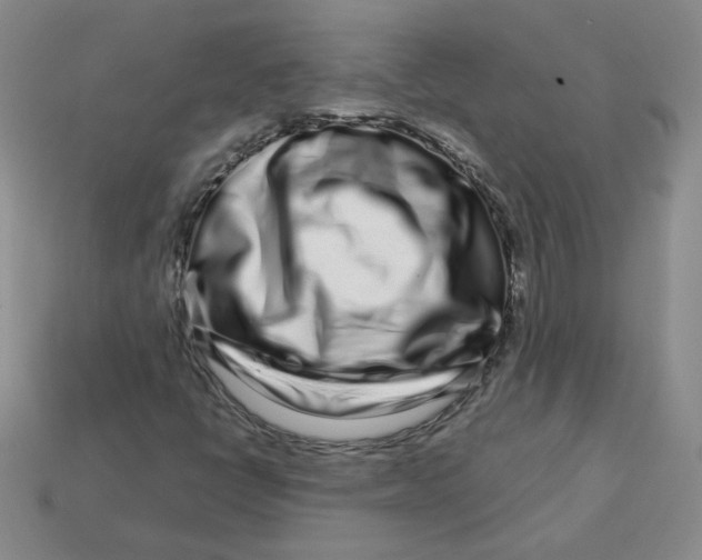 X0000113581398200910161530