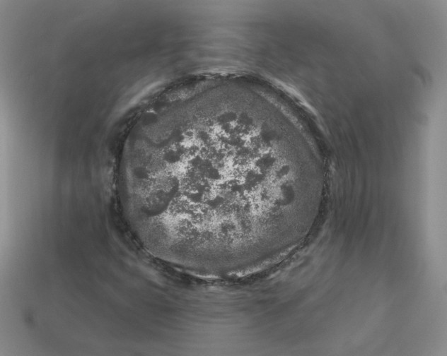 X0000113581399200910161530