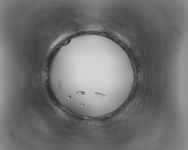 X0000113581400200910161530