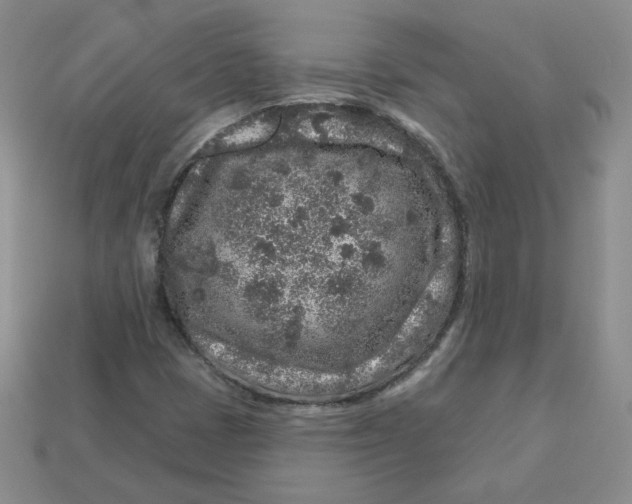 X0000113581401200910161530