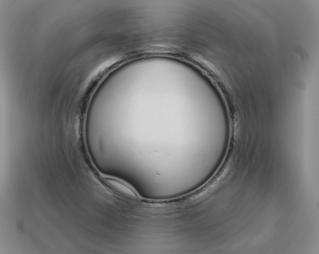 X0000113581402200910161530