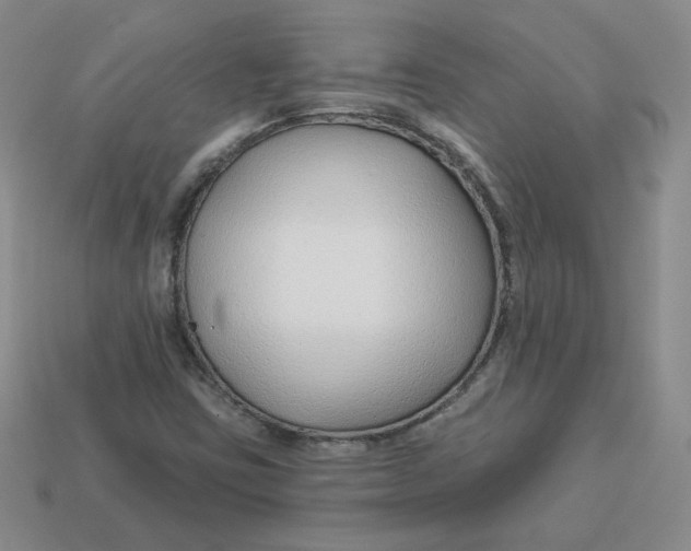 X0000113581403200910161530