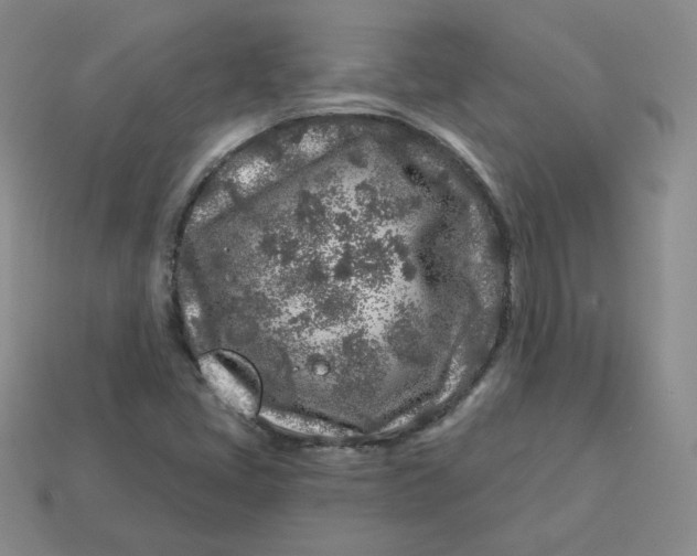 X0000113581405200910161530