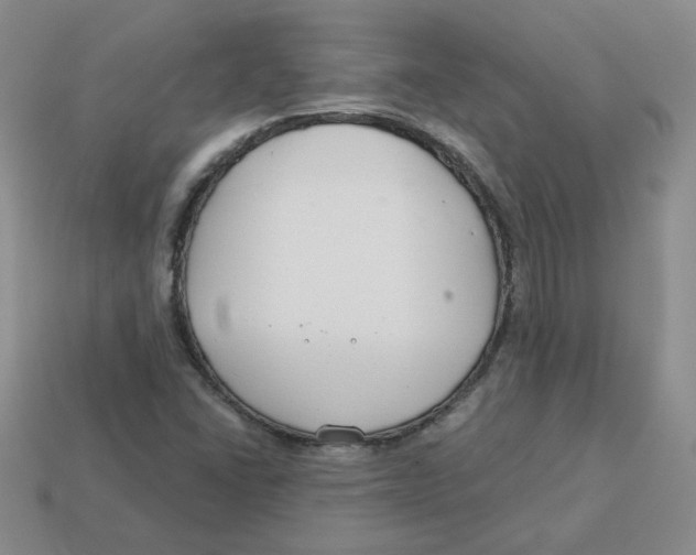 X0000113581406200910161530