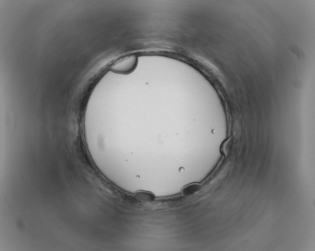 X0000113581407200910161530