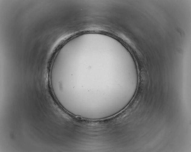 X0000113581408200910161530