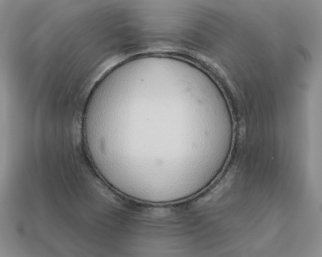 X0000113581409200910161530