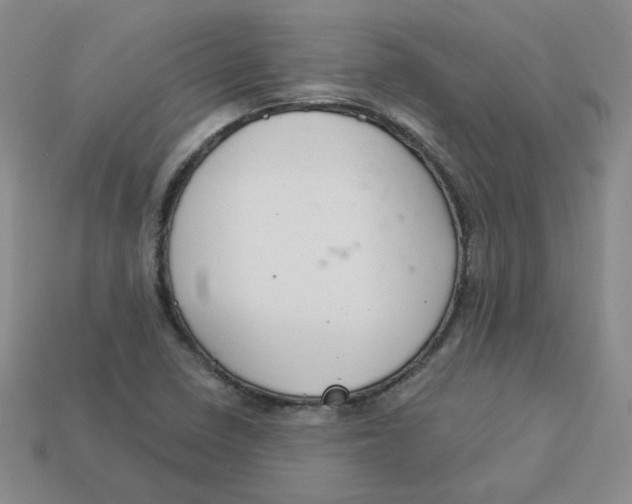 X0000113581410200910161530