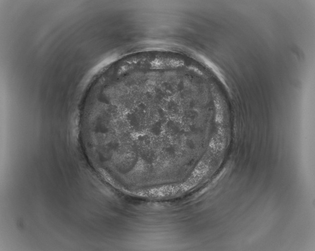 X0000113581411200910161530