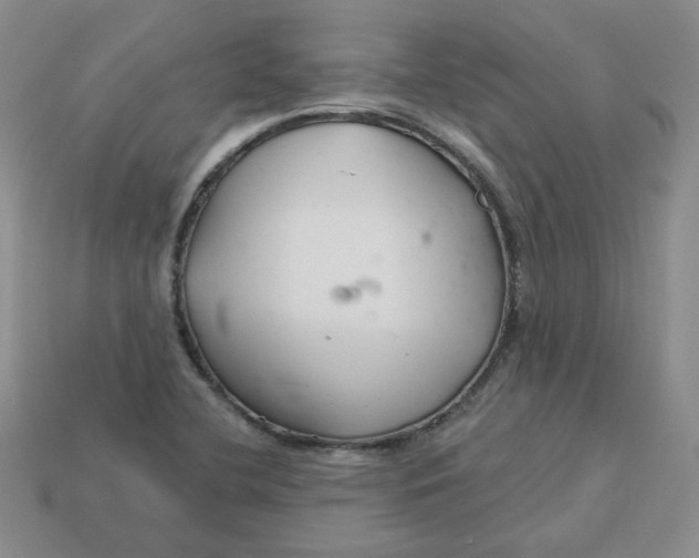 X0000113581412200910161530