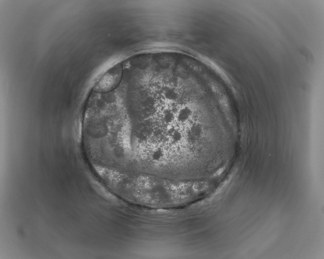 X0000113581413200910161530