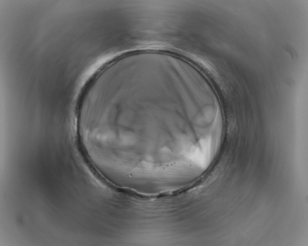 X0000113581414200910161530