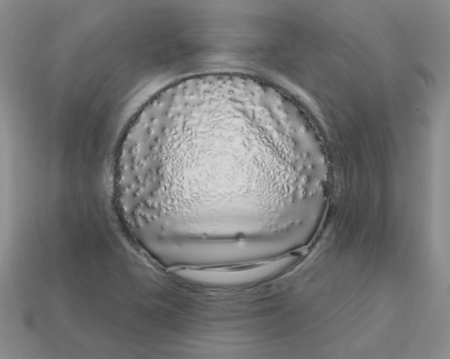 X0000113581415200910161530