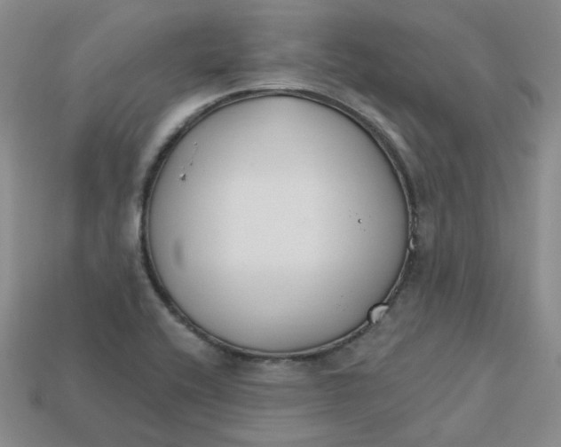 X0000113581416200910161530