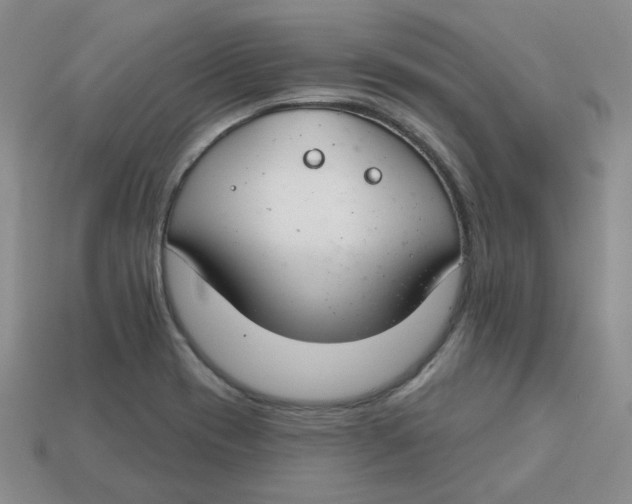 X0000113581417200910161530