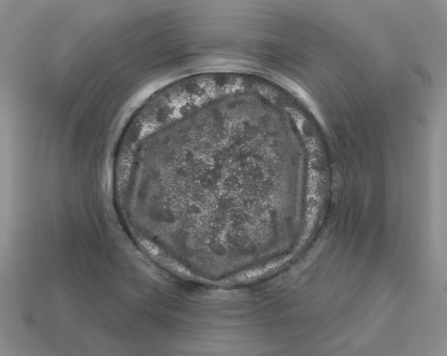 X0000113581419200910161530