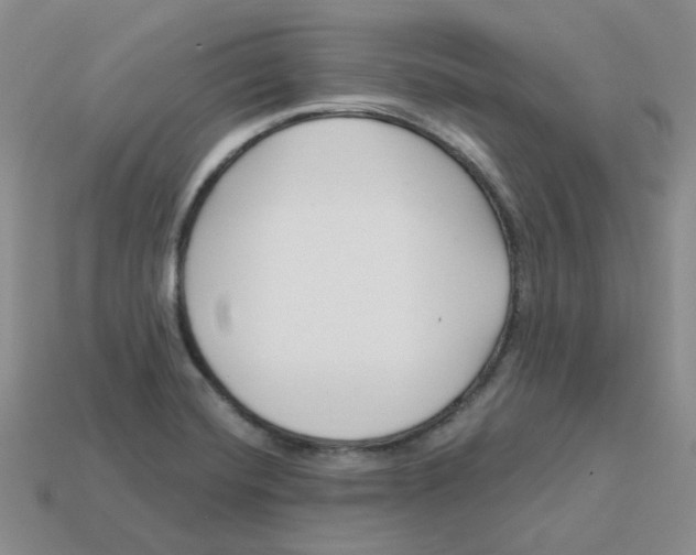 X0000113581420200910161530