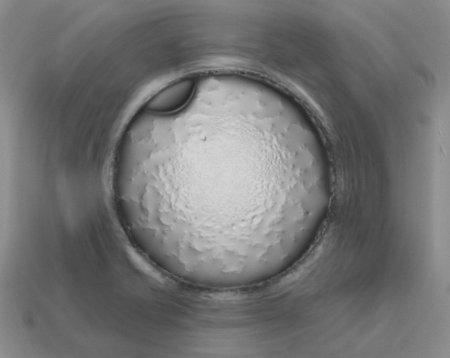 X0000113581421200910161530