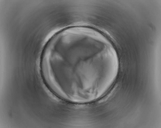 X0000113581422200910161530